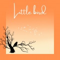 Little Bird