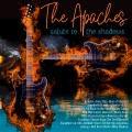 The Apaches - Man of Mystery