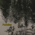 Puddles
