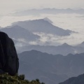 茶茶要高兴 - 那远山呼唤我