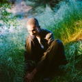 Sam Austins - Seasons