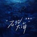 王理文 - 石沉大海