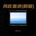 烟嗓大叔  林武威 - 风吹麦浪