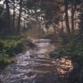 River Night Dreams: Gentle Sleep Sounds