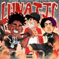 xolilsauce、Quin NFN、that mexican ot - Lunatic (Explicit)
