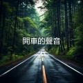 驾驶声音 - 开车声音
