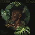 Jaywon、Oladips、Magnito - Turn Up