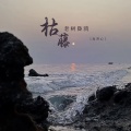 肖开心 - 枯藤老树昏鸦