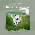 Bigotes en el Viento