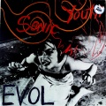Sonic Youth - Shadow Of A Doubt (黑胶版)