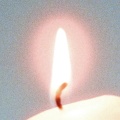 온도 (Warmth)
