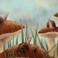 I MAKE RAIN - Spa