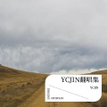 YCJIN - 执子之手