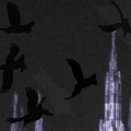 3aucyy - lost_it_all_: ( (Explicit)
