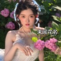 艾酱儿 - 一期一会