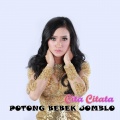 Potong Bebek Jomblo