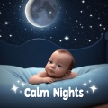 Sleepy Serenade: Baby Sleep Melodies