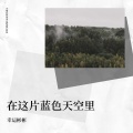 幸运彬彬 - 若我可以不爱你