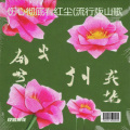 伤心彻底看红尘(流行版山歌)