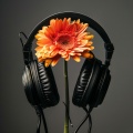 Vibraphonic Calm: Chill Music for Soothing Sounds