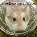 Dee Zee、David Zeitlin - The League Of Mice