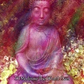 30 Meditate The World Over