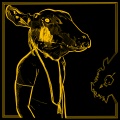 Shakey Graves - Years Ago (Interlude)
