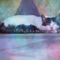 Relajación - Outstanding Sleep
