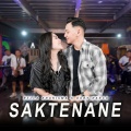 Saktenane