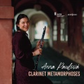 Clarinet Concerto in A Major, K. 622: I. Allegro