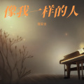 隆安吉 - 像我这样的人 (Live)