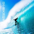 赵福昌 - 这个夏天浪起来 (Remix)