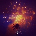 Firework