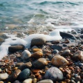 Musica prenatal、Sonidos de la selva amazónica、Calma ASMR White Soughs - Lluvia Suave Para El Descanso Del Bebé