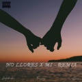 No Llores X Mi (Remix|Explicit)