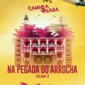 Forró Camisa Suada - Fiorino