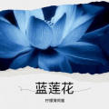 柠檬薄荷蜜 - 蓝莲花