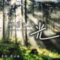 苏杨、番国强 - 做自己的光