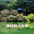 追梦 - 懂我的人在哪