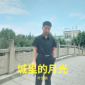 叶清枫 - 城里的月光