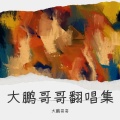 大鹏哥哥 - 这，就是爱