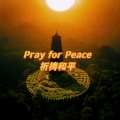 Pray for Peace祈祷和平 (DJ Pure Music)