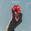 谭永丽 - 遗憾的过客