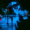 Wholfst - RAINFALLS