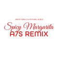 Spicy Margarita (A7S Remix)