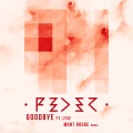 Goodbye (feat. Lyse)(Mont Rouge Remix)