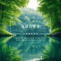 大自然白噪音：河畔树荫 (Nature White Noise Riverside shade)