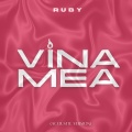 Vina mea (Acoustic Version)