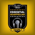 carolyn harding - Superstar
