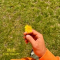 Bazil - Lonely Night's